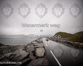 Tour Amical Norway 2026 photo