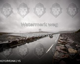 Tour Amical Norway 2026 photo