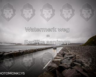 Tour Amical Norway 2026 photo