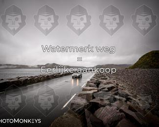 Tour Amical Norway 2026 photo
