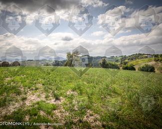 Tour Amical Toscana (groep 2) photo