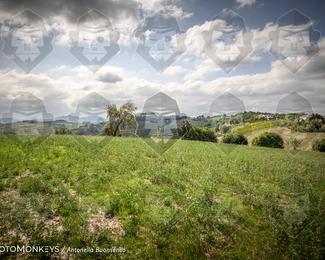 Tour Amical Toscana (groep 2) photo