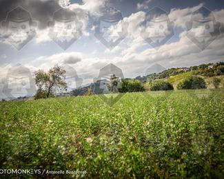Tour Amical Toscana (groep 2) photo