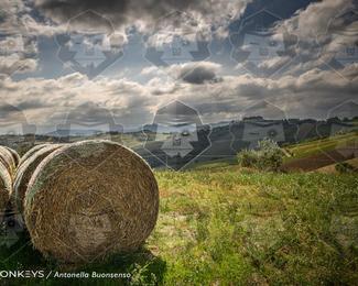 Tour Amical Toscana (groep 2) photo
