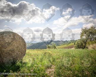 Tour Amical Toscana (groep 2) photo