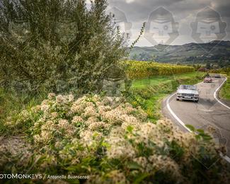 Tour Amical Toscana (groep 2) photo