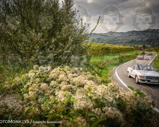 Tour Amical Toscana (groep 2) photo