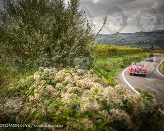 Tour Amical Toscana (groep 2) photo