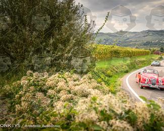 Tour Amical Toscana (groep 2) photo