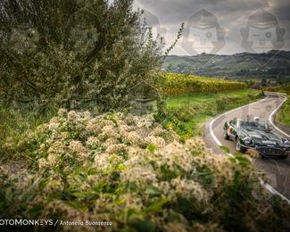 Tour Amical Toscana (groep 2) photo