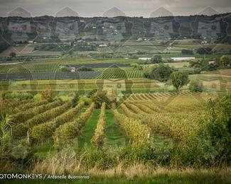 Tour Amical Toscana (groep 2) photo