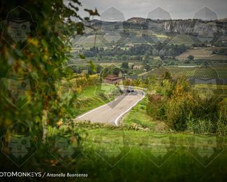 Tour Amical Toscana (groep 2) photo