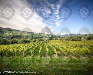 Tour Amical Toscana (groep 2) photo