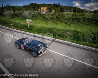 Tour Amical Toscana (groep 2) photo