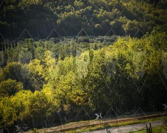 Tour Amical Toscana (groep 2) photo