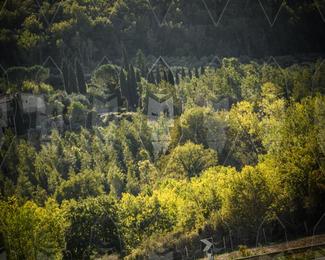 Tour Amical Toscana (groep 2) photo