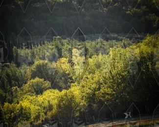 Tour Amical Toscana (groep 2) photo