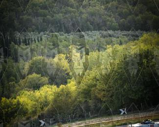 Tour Amical Toscana (groep 2) photo