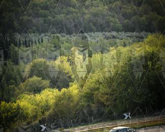 Tour Amical Toscana (groep 2) photo