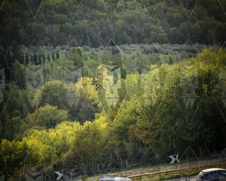 Tour Amical Toscana (groep 2) photo