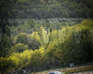 Tour Amical Toscana (groep 2) photo