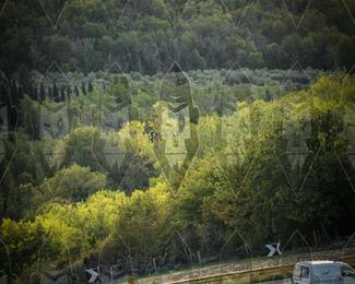 Tour Amical Toscana (groep 2) photo