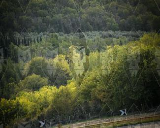Tour Amical Toscana (groep 2) photo