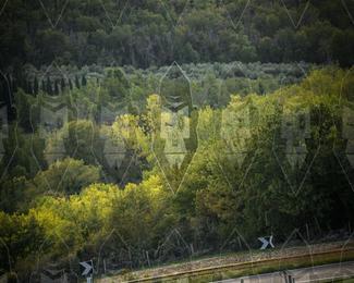 Tour Amical Toscana (groep 2) photo