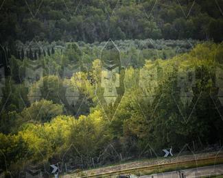 Tour Amical Toscana (groep 2) photo