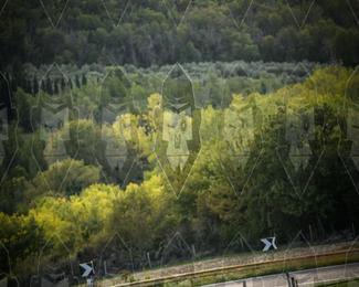 Tour Amical Toscana (groep 2) photo