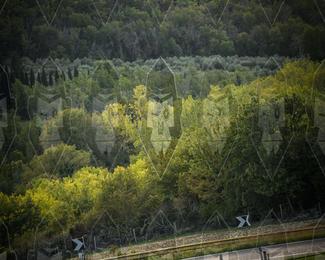 Tour Amical Toscana (groep 2) photo