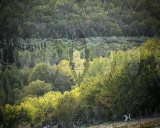Tour Amical Toscana (groep 2) photo
