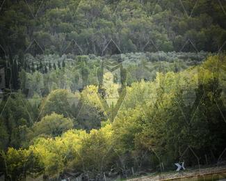 Tour Amical Toscana (groep 2) photo