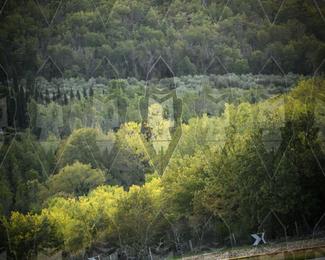 Tour Amical Toscana (groep 2) photo