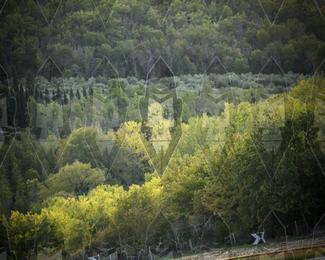 Tour Amical Toscana (groep 2) photo