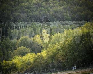 Tour Amical Toscana (groep 2) photo