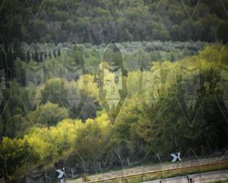 Tour Amical Toscana (group 2) photo