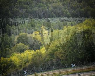 Tour Amical Toscana (groep 2) photo