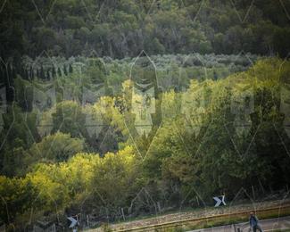 Tour Amical Toscana (groep 2) photo