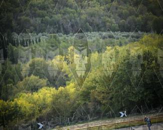 Tour Amical Toscana (groep 2) photo