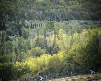 Tour Amical Toscana (groep 2) photo