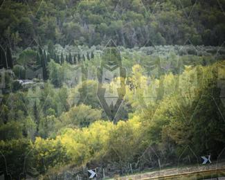 Tour Amical Toscana (groep 2) photo
