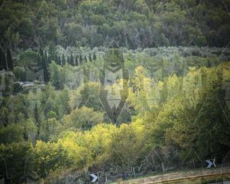 Tour Amical Toscana (groep 2) photo