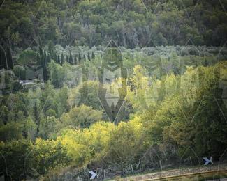 Tour Amical Toscana (groep 2) photo