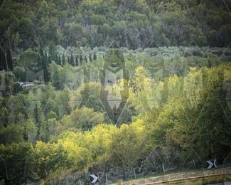 Tour Amical Toscana (groep 2) photo