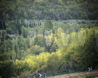 Tour Amical Toscana (groep 2) photo