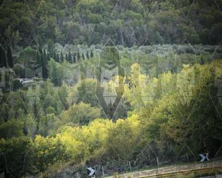 Tour Amical Toscana (groep 2) photo