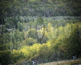 Tour Amical Toscana (groep 2) photo