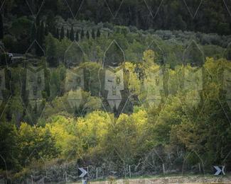 Tour Amical Toscana (groep 2) photo