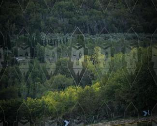 Tour Amical Toscana (groep 2) photo